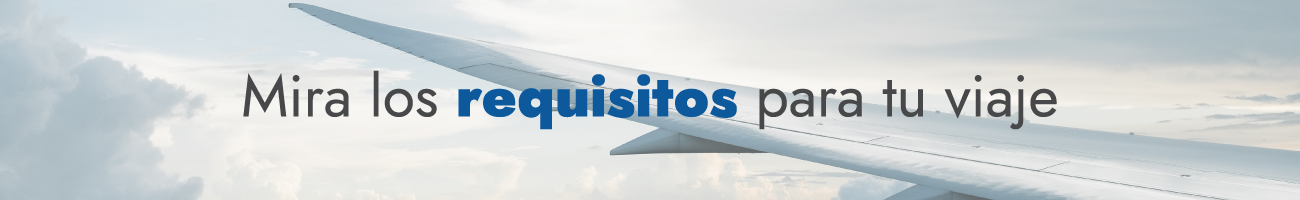 Requisitos_vuelos